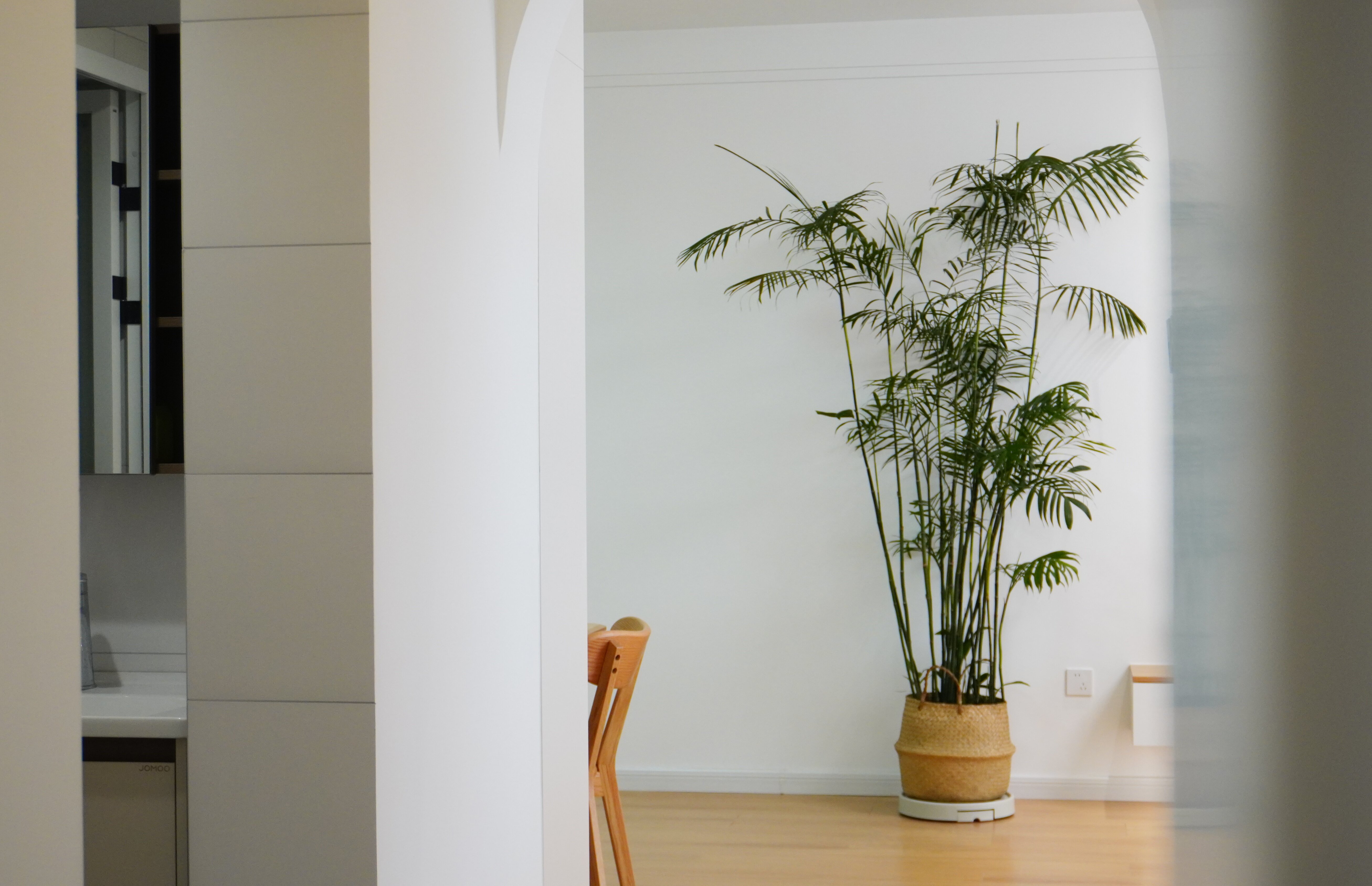 1769744137408352.jpg 1769744137408352.jpg